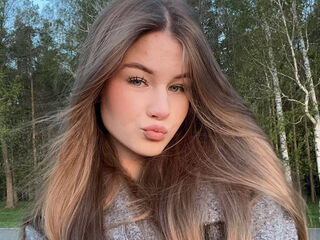 cambabe KentukiShreeves